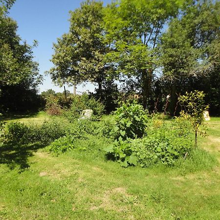 Tranquille Vienne Gites A Chirac Dept Charente Zewnętrze zdjęcie