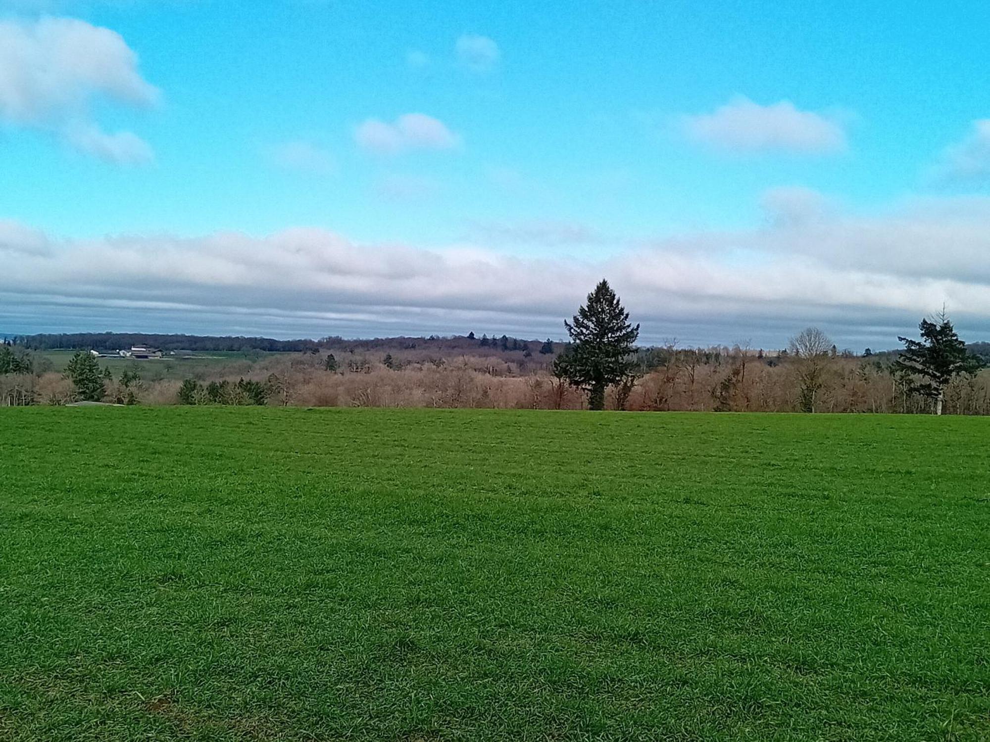 Tranquille Vienne Gites A Chirac Dept Charente Zewnętrze zdjęcie