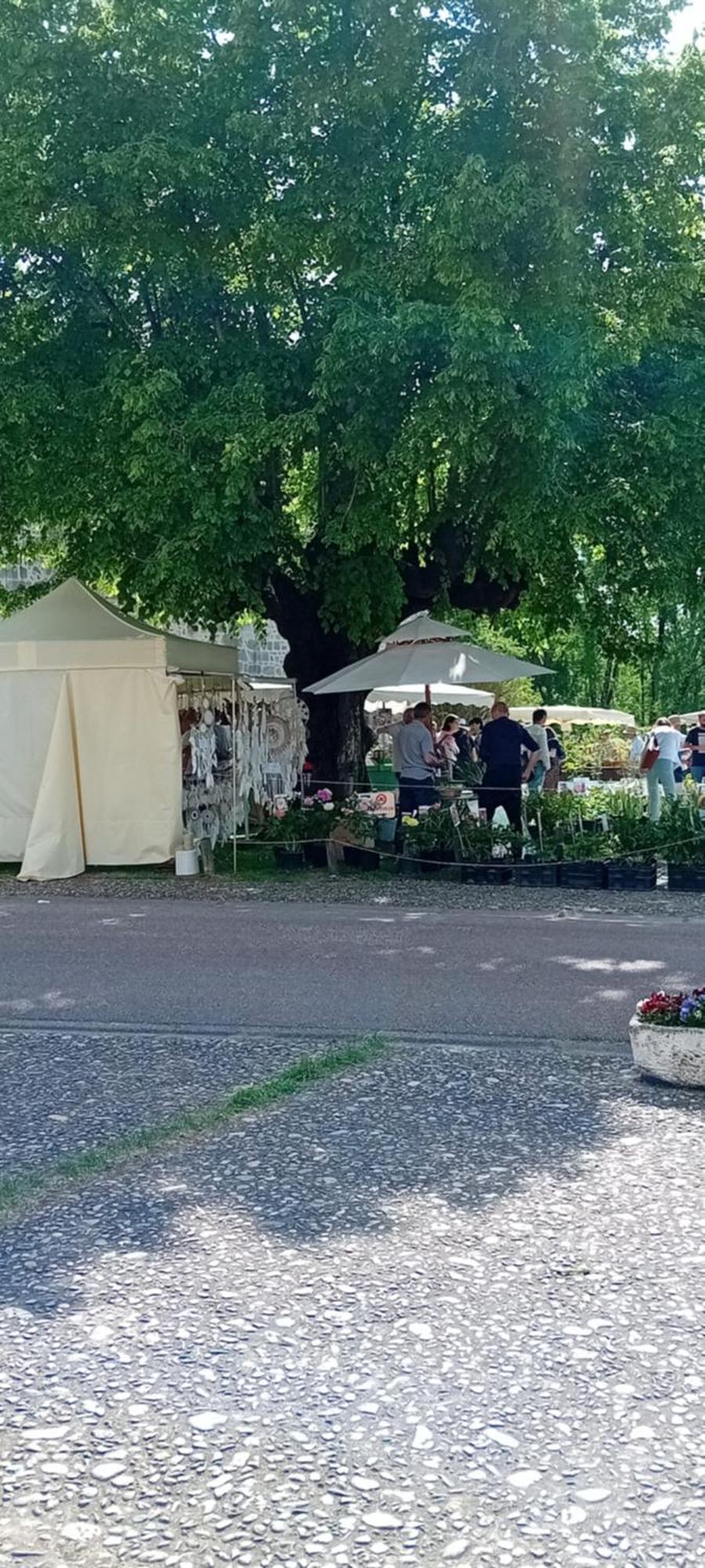 Tranquille Vienne Gites A Chirac Dept Charente Zewnętrze zdjęcie